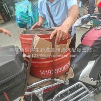 轩德前制动鼓/1419330005101A
