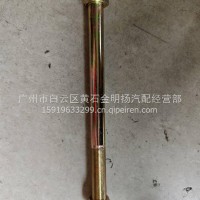 拉力胶螺栓/20*260