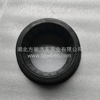 平衡轴胶套/2904082-H02F0