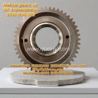 ZF Helical gear 1316 304 010/1316 304 010