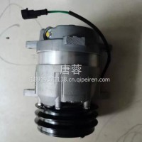 空调压缩机总成/WG1500139009