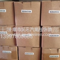 ISZ惰轮C5264935/C5264935