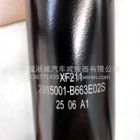 2915001-B663E02S原厂配套广西申龙客车后桥减震器总成/2915001-B663E02S