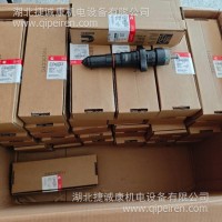 K50 喷油器 3349860-20 /3349860-20