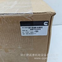 T30 海水泵 4067835RX 3094858 (9)/4067835RX