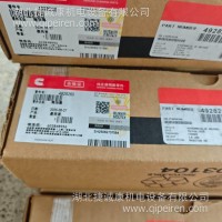 X15 喷油器 4928260 (2)/4928260