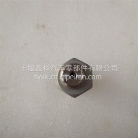 限压阀 | 1110010021/1110010021