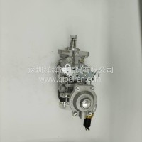 适用于工程机械发动机燃油泵总成 柴油喷射泵0460424125//0460424125/0460424125