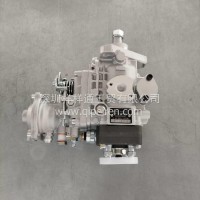 VE4柴油机喷油泵2852499 0460424302/0460424222/0460424222