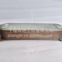 机油冷却器芯/6D125Z11