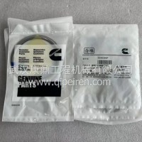 排气出口连接密封垫/3356390F