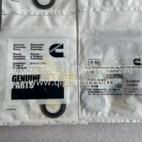 密封垫圈/G3287561