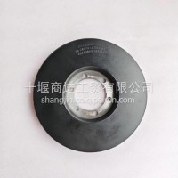 扭振减振器/D5010224341
