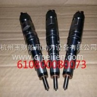 潍柴WP5电喷发动机喷油器总成 /610800080073
