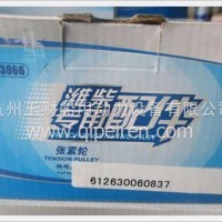 潍柴WP5发动机涨紧轮/612630060837