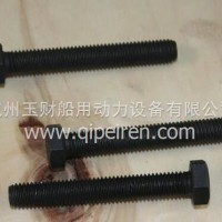 潍柴WP5六角头螺栓/4110000591041