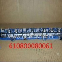 潍柴WP7电喷发动机共轨管总成 /610800080061