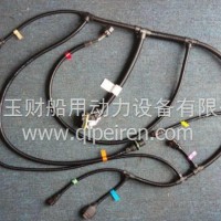 潍柴WP10传感器线束/612600080835