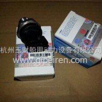 潍柴WP10电喷发动机共轨管共轨压力传感器/612600081585
