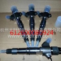潍柴WP10电喷客车发动机喷油器总成/612600080924
