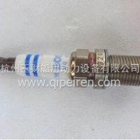 博世双铱金潍柴天然气发动机火花塞/FR3K11332
