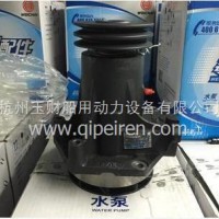 潍柴WD10工程机械发动机水泵总成/612600060131