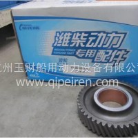 潍柴WD615发动机惰齿轮/61560050053