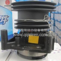 潍柴WD615发动机配件水泵/61560060050
