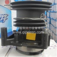 潍柴WD615高压共轨发动机水泵/612600061697