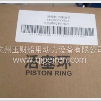 潍柴WP10发动机活塞环/612600030053A