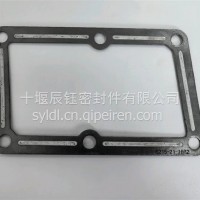 适用于QST30集水器密封垫/4068732