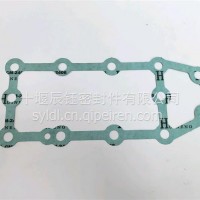 适用于QST30密封垫/3092713
