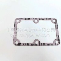 适用于QST30密封垫/184237