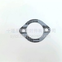 适用于QST30密封垫/3014449