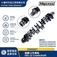 福康12升曲轴 5446855/5446857/3695626/3693943/3692430 3698168/6304924 /5446857