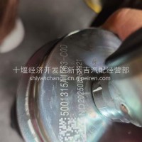 5001315A1063-C00解放JH6解放JH6后悬置空气弹簧加减振器总成/5001315A1063-C00