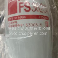 燃油滤芯/5500515