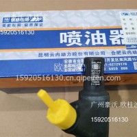 YNF45喷油器/YNF45-110014Y10009245云内正装/Y10009245