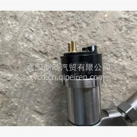 喷油器/5491531