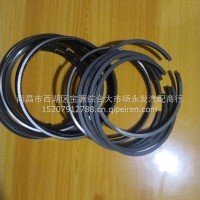 活塞环/6BT-499