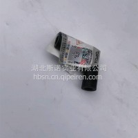 回油管-出单向阀总成/1014333-E4601