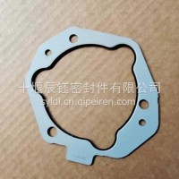 燃油泵密封垫/5713710