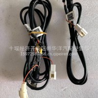 视频连接线7107/3776029-C7107