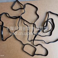 Z14/15N油底壳密封垫/5663193
