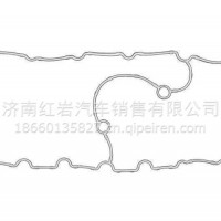 依维柯C13机油冷却器密封条FPT500383038/500383038
