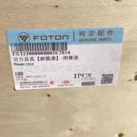 电机-动力总成【福田新能源】-图雅诺/X121000000003