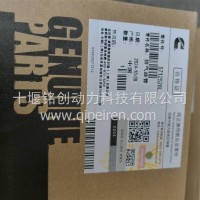 15N天然气发动机排气支管/5712528