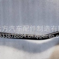 3301010-ZF00946/3301010-ZF00946