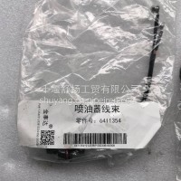康明斯国六D7喷油器线束6411351/6411354/6410819/C6411351/6411354/6410819