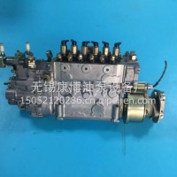 ZEXEL220009950高压油泵1086223663A柴油泵1080623421杰克赛尔/1086223663A